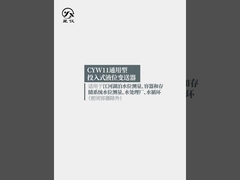 CYW11Y Émetteur de niveau universel de niveau liquide Plage de niveau 0-0,5-50mH2O pour la mesure du niveau